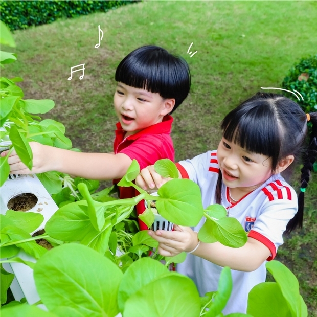 Học phí Mầm non trường quốc tế Royal School 