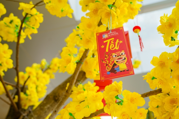 Trường Song ngữ Quốc tế ROYAL SCHOOL - Tin Tức - Meaning of Northern peach  blossom and Southern apricot blossom on Vietnamese Tet holidays